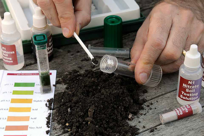 кислотность почвы для комнатных растений